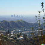 LA1